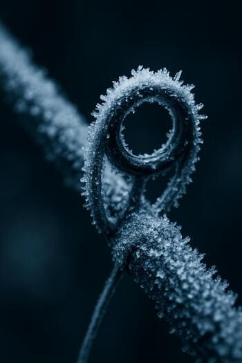 Удочка для подлёдной рыбалки, покрытая инеем крупным планом