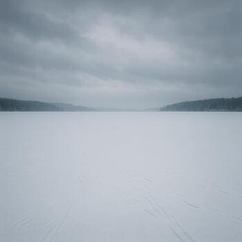 Старые тропы на льду почти скрыты свежим снегом